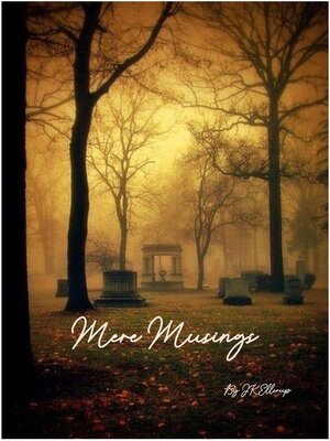 cover image of Mere Musings